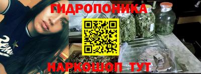 молекула духа Донецк