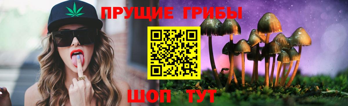 Псилоцибиновые грибы Cubensis  Вход с VPN  Малгобек  Псилоцибиновые грибы MAGIC MUSHROOMS 
